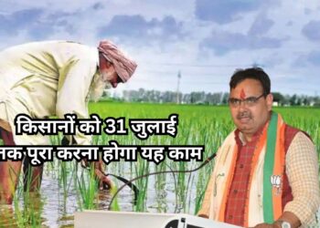PM Fasal Bima Yojana: फसल बिमा योजना का लाभ उठाना है तो 31 जुलाई तक पूरा करना होगा यह काम  PM Fasal Bima Yojana: फसल बिमा योजना का लाभ उठाना है तो 31 जुलाई तक पूरा करना होगा यह काम
