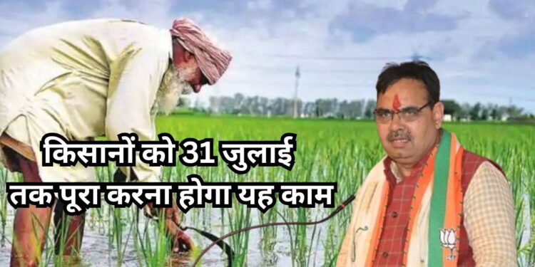 PM Fasal Bima Yojana: फसल बिमा योजना का लाभ उठाना है तो 31 जुलाई तक पूरा करना होगा यह काम  PM Fasal Bima Yojana: फसल बिमा योजना का लाभ उठाना है तो 31 जुलाई तक पूरा करना होगा यह काम