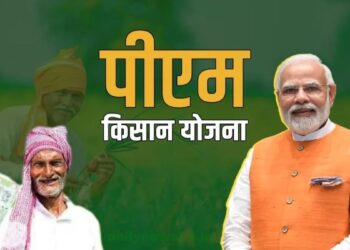 20वीं किस्त के पैसे अगर नहीं आए खाते में तो करे ये जरुरी काम