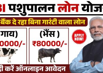 Pashupalan Loan Yojana2025: बिना परेशानी के अपना व्यवसाय शुरू करें