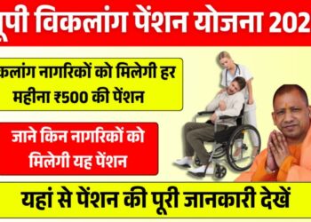 सरकार विकलांग को देगी 500 रुपया महीना, ऐसे करें आवेदन