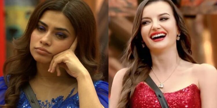 Bigg Boss 19: इस हफ्ते का डबल एविक्शन बना चर्चित, फैंस को बड़ा सरप्राइज मिला Bigg Boss 19: इस हफ्ते का डबल एविक्शन बना चर्चित, फैंस को बड़ा सरप्राइज मिला