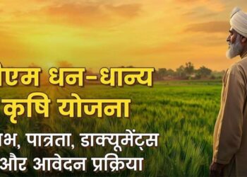 Dhan Dhanya Krishi Yojana 2025: मोदी सरकार की नई कृषि योजना की पूरी जानकारी Dhan Dhanya Krishi Yojana 2025: मोदी सरकार की नई कृषि योजना की पूरी जानकारी